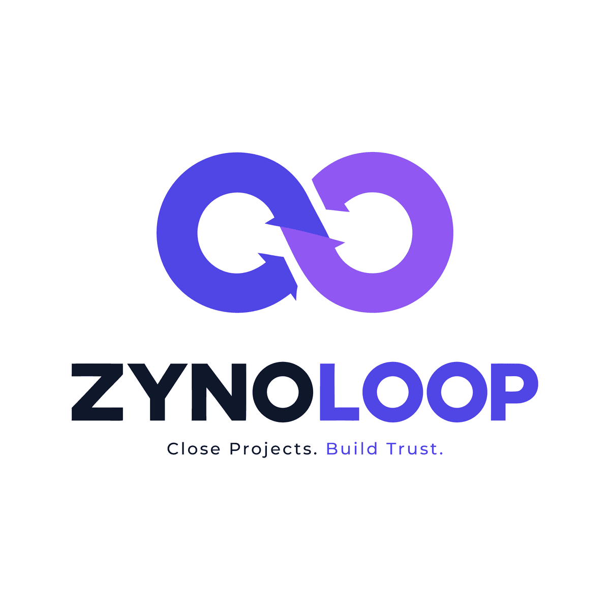 ZynoLoop