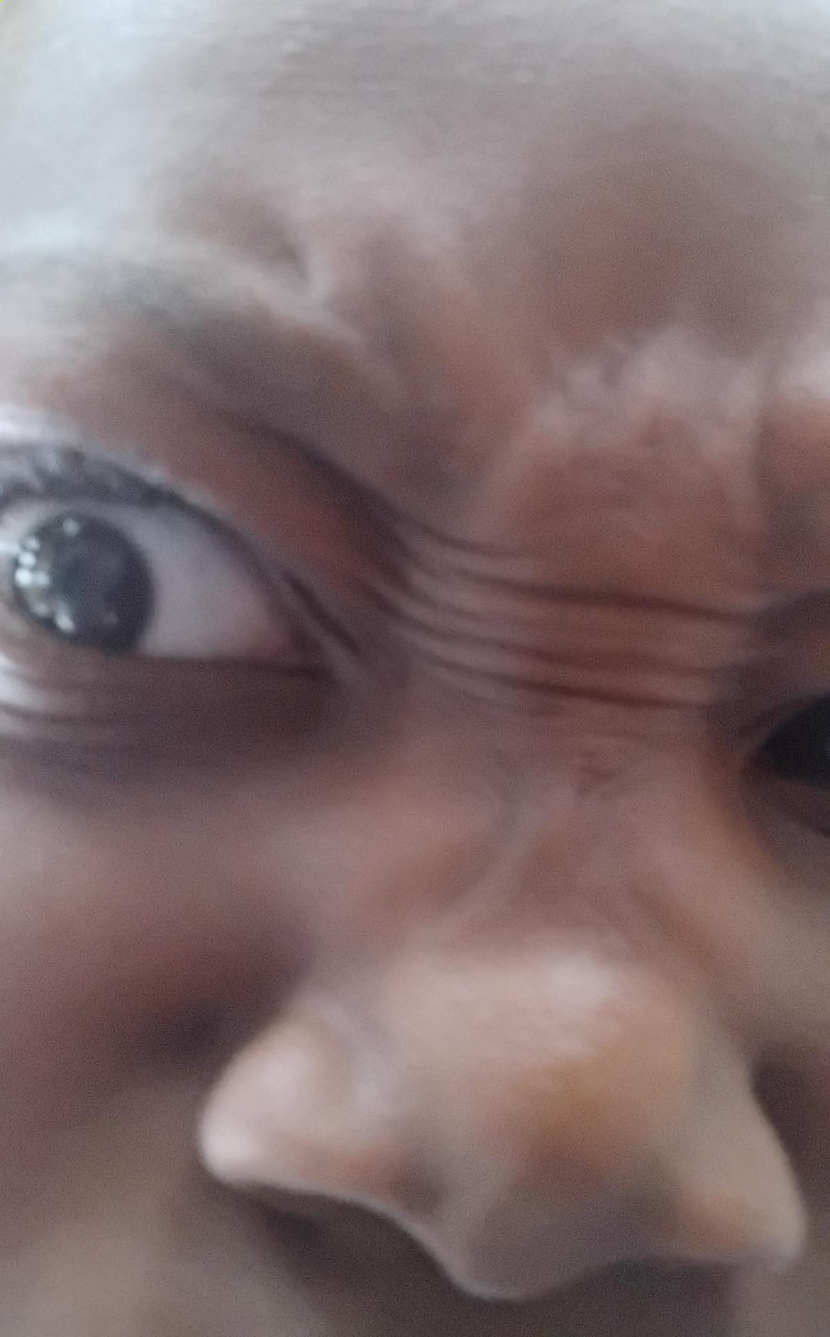 Timothy Gboluaje